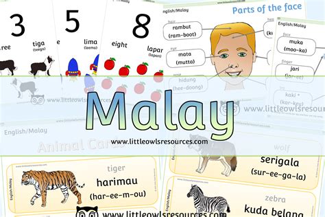 Malaysian Language