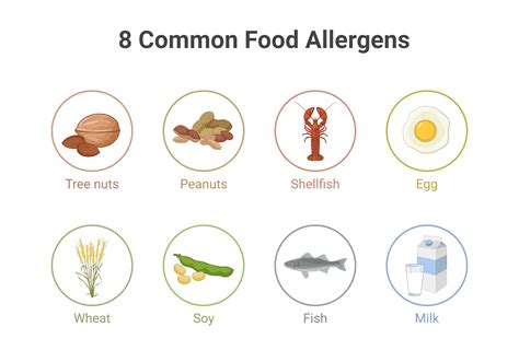8 Common Food Allergens | BioRender Science Templates