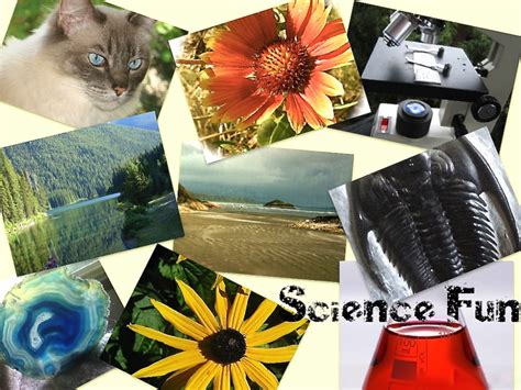 Science Fun Sites 的图像结果
