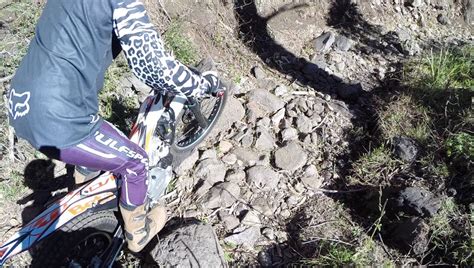 101z trial experiences,this game offers something for everyone