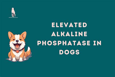 Elevated Alkaline Phosphatase In dogs - Canine Liver Disease Resource Website
