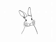 Image result for Cute Animal Drawings Bunny