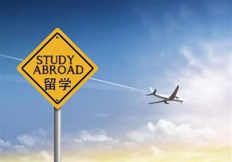 高中生出国留学流程，高中生出国留学需要做哪些工作？ - 哔哩哔哩