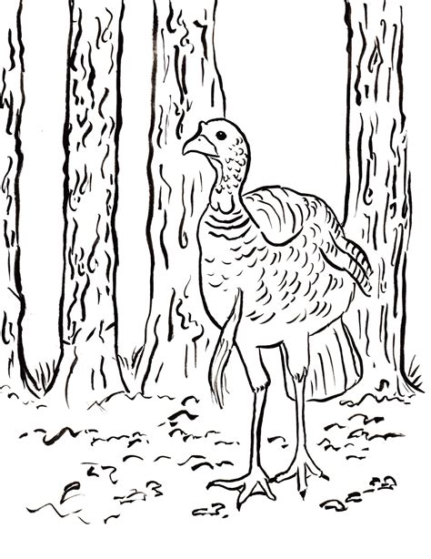 Collection of Hunting Coloring Pages - Free Printable