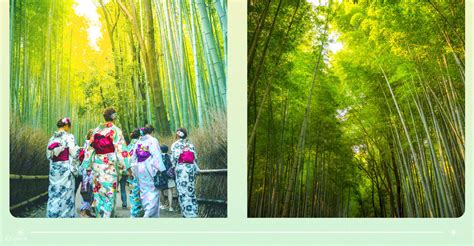 Arashiyama, Nara & Yasaka Shrine & Hanamikoji OneDay Tour from Osaka ...