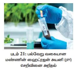பல்வேறு வகையான மண்ணின் ஹைட்ரஜன் அயனி (pH) அயனி செறிவினை அறிதல் ...