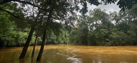 Nature travel, wildlife photography and conservation stories from India ...