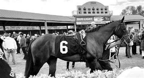 EMERALD DOWNS: "A DAY AT THE RACES" COMING JUNE 7, 2025 - NVC & NVC ...