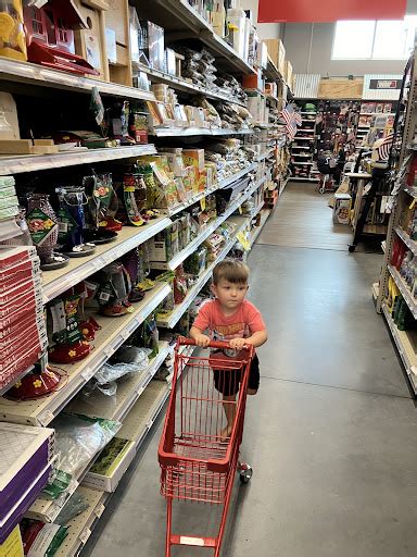 Image result for Ace Rewards Program