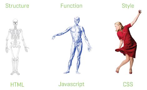 Image result for HTML CSS Basic Design