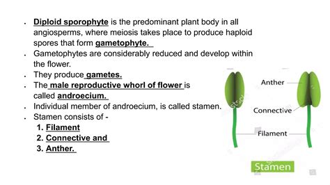 Reproduction in lower and higher plants | PPTX
