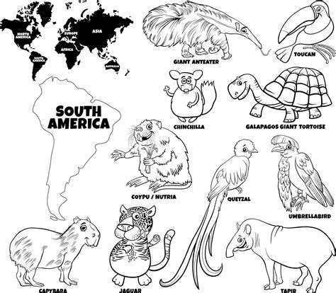 South American Animals