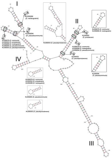 Biomass | December 2021 - Browse Articles