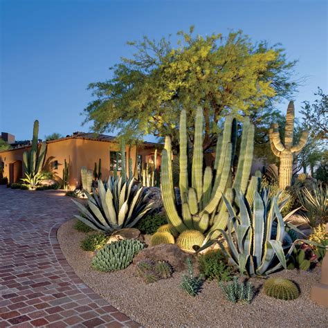 Botanical Beauty - Phoenix Home & Garden | Cactus garden landscaping ...