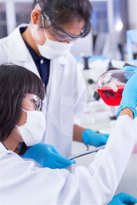 Image result for Lab Lab Kes