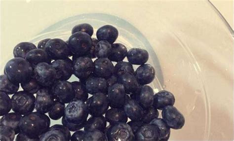 蓝莓怎么洗才干净，四种方法教你如何清洗蓝莓 - 花语网