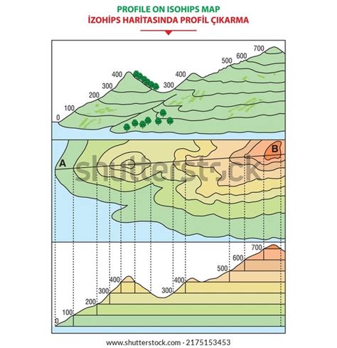 Profile Map 的图像结果