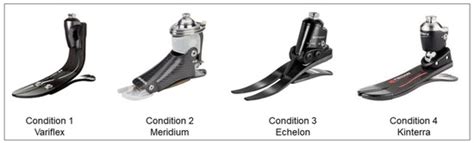 The Influence of Transtibial Prosthesis Type on Lower-Body Gait ...