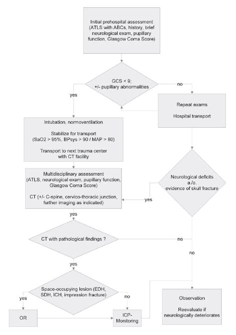 Advanced Trauma Life Support Algorithm 的图像结果