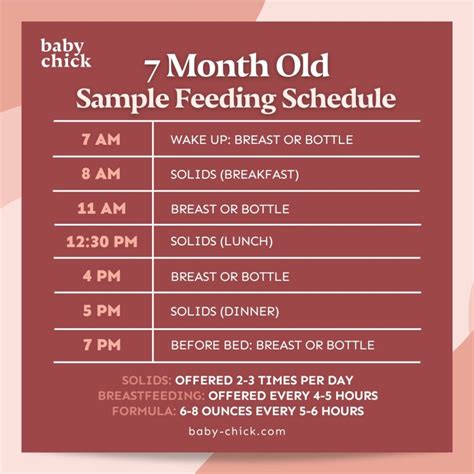 7-Month-Old Baby: Feeding, Sleep, and Milestones by Month - Baby Chick