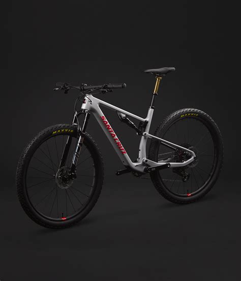 Santa cruz blur online