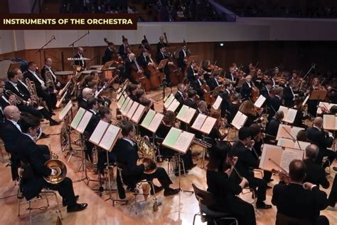 Orchestra Instruments 的图像结果