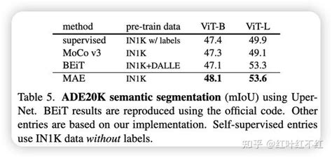 Mae Deep Learning 的图像结果