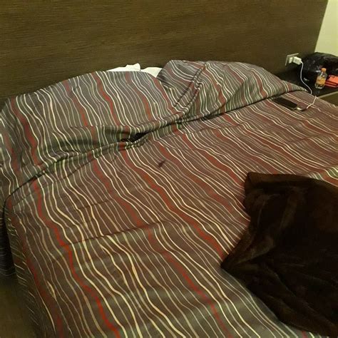 HOTEL DHARMA (Mexico City) - Hotel Reviews, Photos, Rate Comparison ...