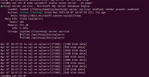 How to Install and Set Up Microsoft SQL Server 2022 Express Edition on ...