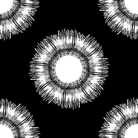 Image result for Animation Complication