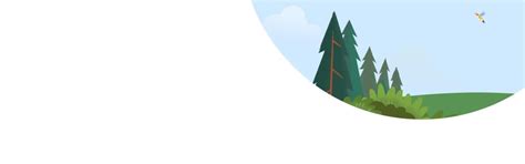What is a Client Management System (CMS)? | Salesforce AU