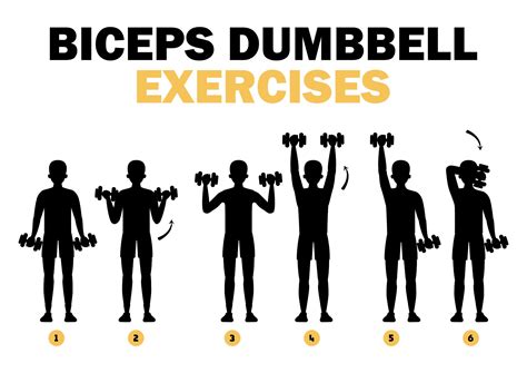 Dumbbell Exercises Chart - 10 Free PDF Printables | Printablee