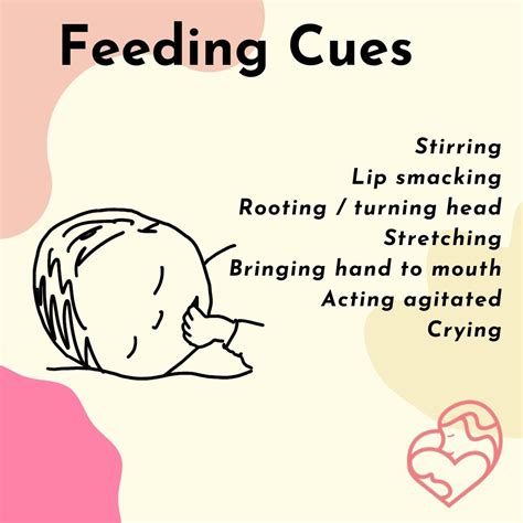 Feeding Cues to look for as the parent of a newborn | Baby planning, Parenting, Parent resources