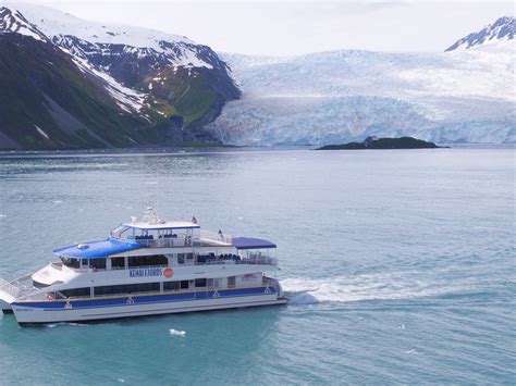 MAJOR MARINE TOURS - All You Need to Know BEFORE You Go 2026 (with ...