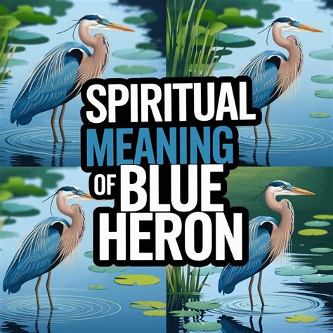 11 Spiritual Meaning of Blue Heron: Wading Into the Spiritual Secrets