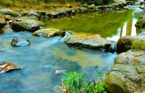 清澈的小溪水图片,清澈小溪图片,清澈的水图片_大山谷图库