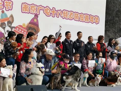 2019年南京宠物文化节
