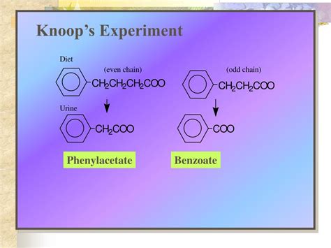 Image result for Knowledge Management Process Flow