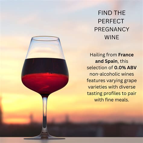 Best Seller Non Alcoholic Red Wine Assortment | 0.0% ABV, 3 Bottles