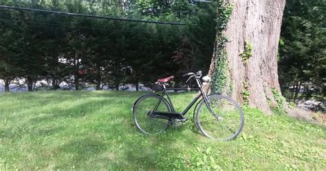 Cycle Model 的图像结果