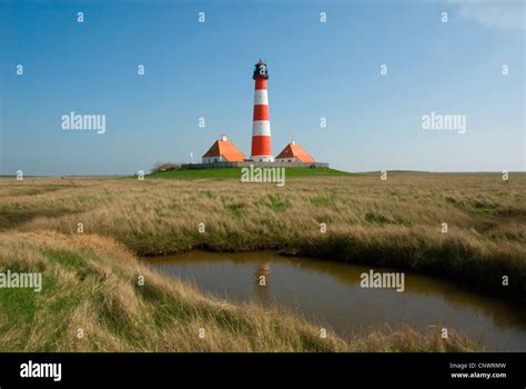 Image result for Full-Stack Web Development Animation. Design Pictures