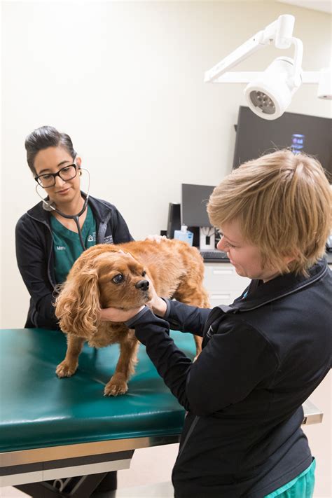 Clint Moore Animal Hospital