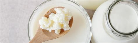 Fermented products | SCHNEL Enginering Pvt. Ltd.