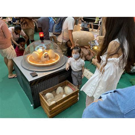 Dinosaur Eggs Incubator - SG Largest Jurassic Dinosaur Event Decor ...