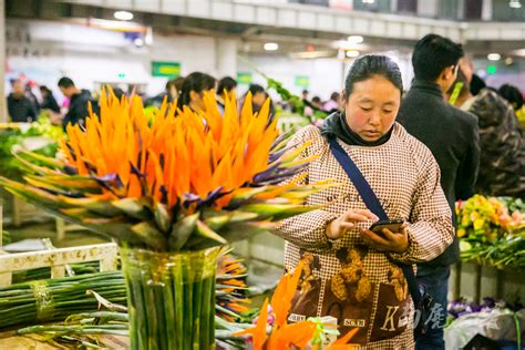 中国6大花市，全国最大的花卉批发市场介绍~_盆景艺术