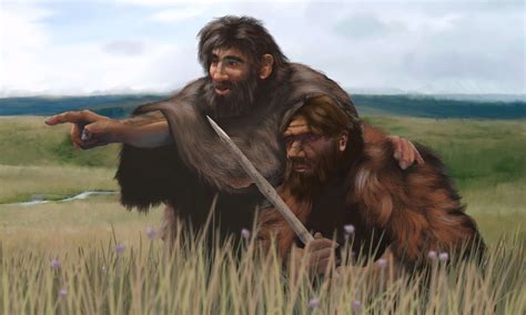 How Neanderthal Dna Helps Humanity Human Evolution