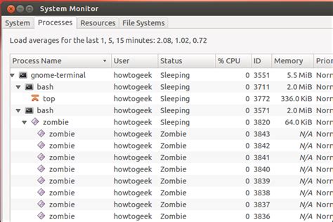 Zombie Process Example 的图像结果