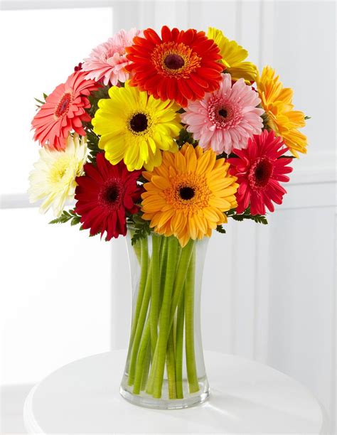 Colorful World Gerbera Daisy Bouquet - 12 Stems - With Vase (With ...