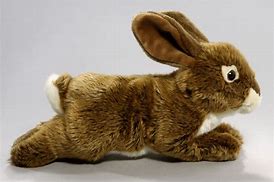 Image result for Brown Bunny Stuffed Animal