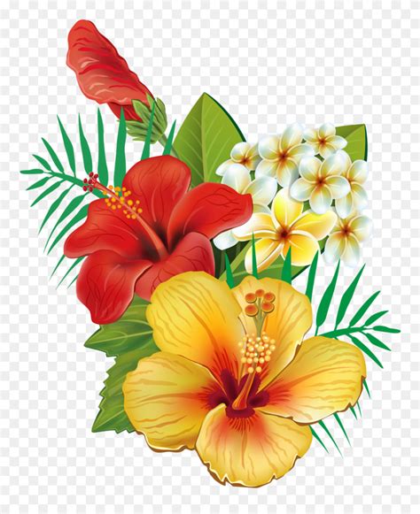 Yellow Hibiscus, Hibiscus Flowers, Tropical Flowers, Flower Art ...